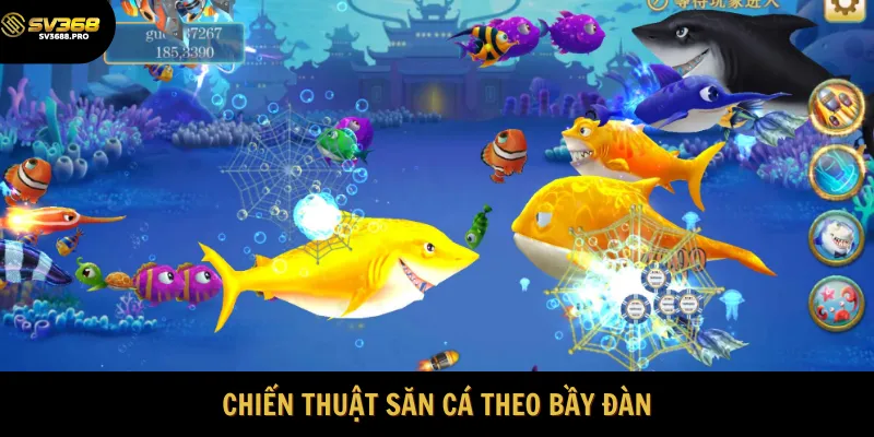 Chiến lược săn cá theo bầy đàn hiệu quả