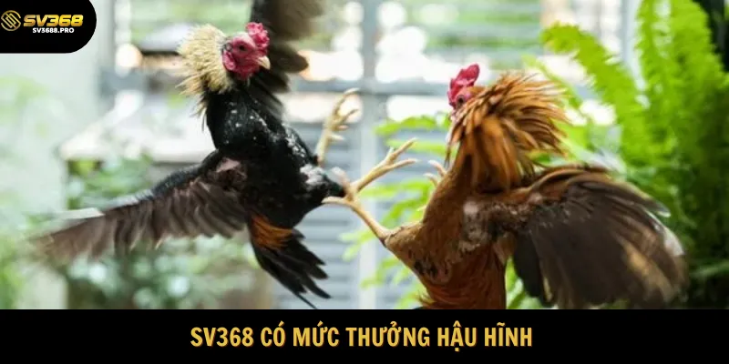Nhà cái trả thưởng cực kỳ hậu hĩnh 