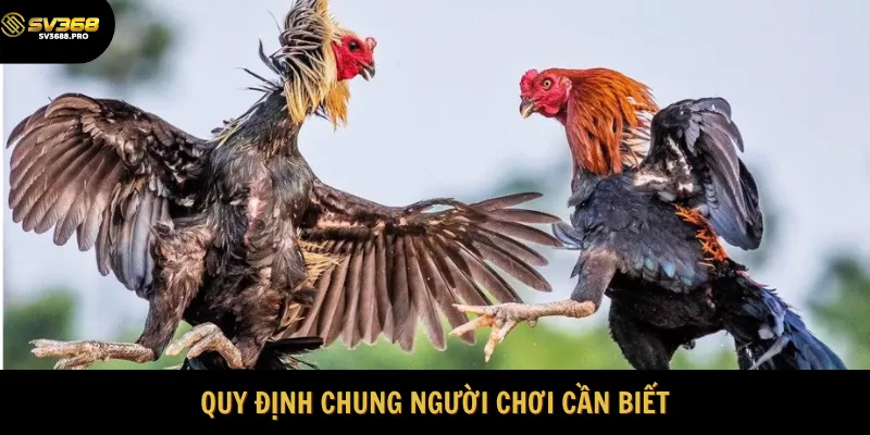 Những nguyên tắc người chơi cần tuân thủ